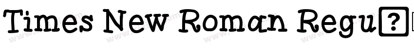 Times New Roman Regu字体转换